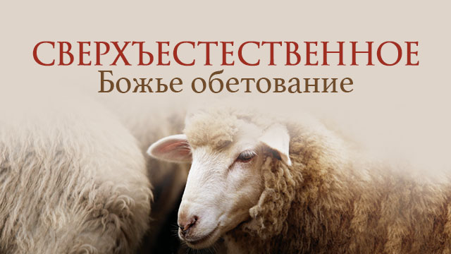 Измени свой мир